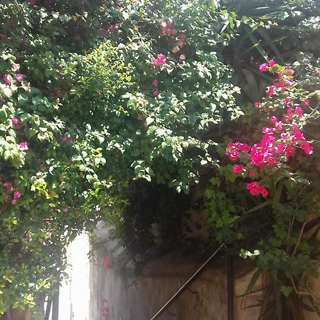 Antonella Home Brindisi Bagian luar foto