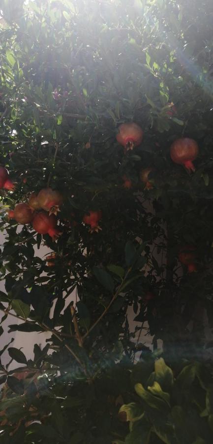 Antonella Home Brindisi Bagian luar foto